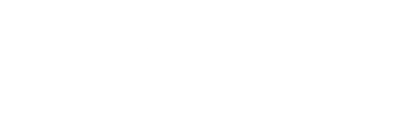 HORIZONTAL-MONOCROMÁTICO-BRANCO